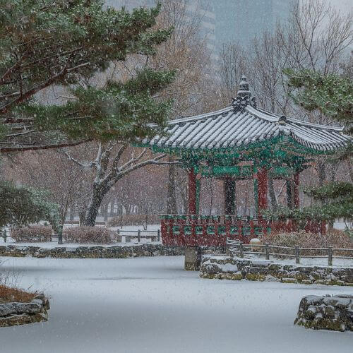 LTL Seoul || Landscape in winter