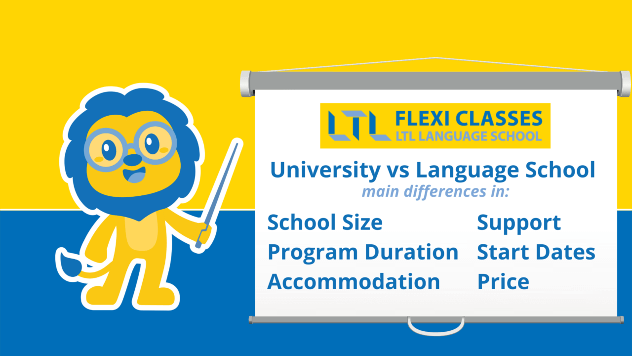 university vs language school - main differences