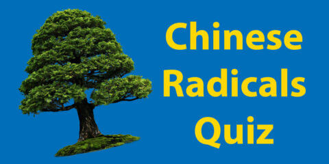 Chinese Radicals Quiz // How Many Do You Know? Thumbnail